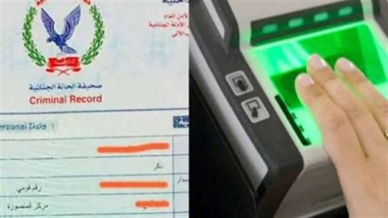 خدمة إلكترونية.. إجراءات استخراج صحيفة الحالة الجنائية عبر منصة وزارة الداخلية للمواطنين